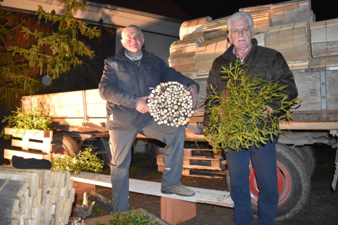 2016-12-09_aby_irgertsheim_glockenstuhl_web